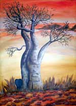 Baobab mit ruhendem Elefanten